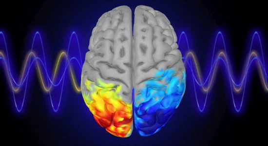 Best Glutathione Injection | Shaanxi BLOOM Tech Co., Ltd Best Glutathione Injection | Shaanxi BLOOM Tech Co., Ltd