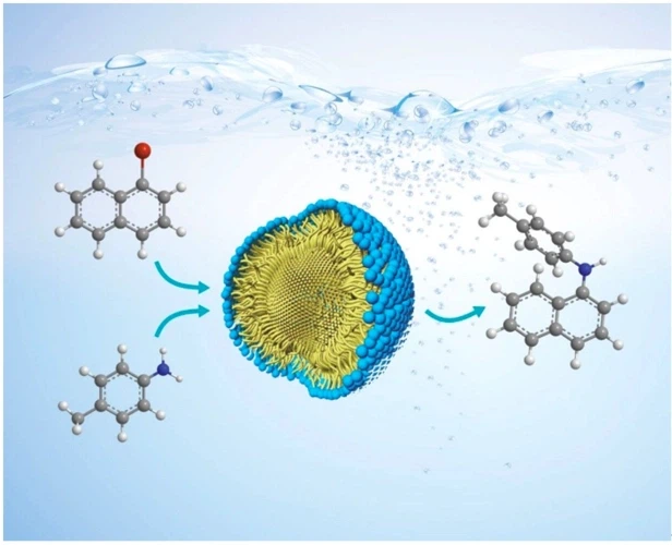 Maleimide use | Shaanxi BLOOM Tech Co., Ltd Maleimide use | Shaanxi BLOOM Tech Co., Ltd